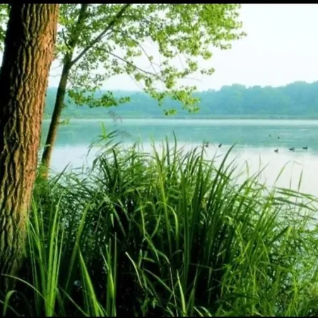 & Nur Fuer Monteure Am Norderteich Hotel Horn-Bad Meinberg