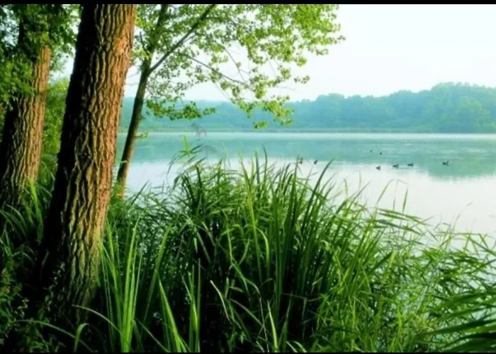 & Nur Fuer Monteure Am Norderteich Hotel Horn-Bad Meinberg