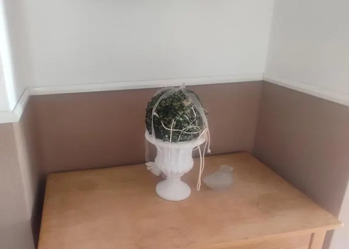 Hotel & Nur Fuer Monteure Am Norderteich Horn-Bad Meinberg